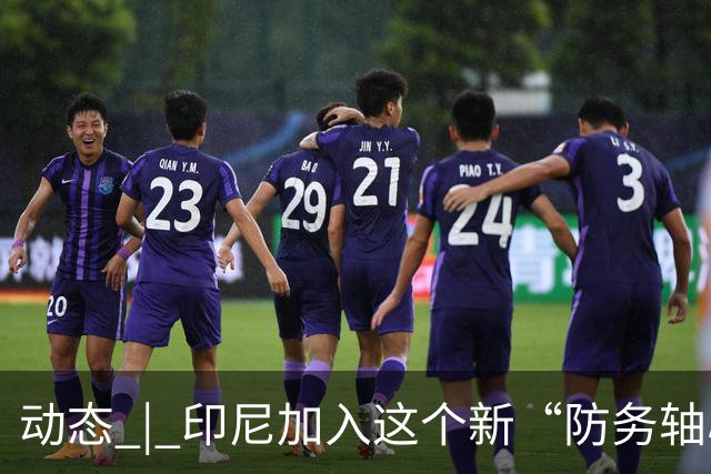动态 | 印尼加入这个新“防务轴心”，印度深感恐慌！