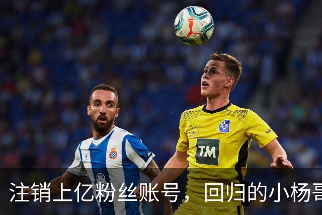 注销上亿粉丝账号，回归的小杨哥目标早已不在国内